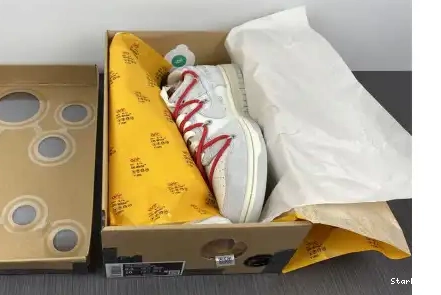 O-W Nike Dunk Low DJ0950-103 40 Lot 0428
